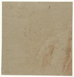 Figure coupée d