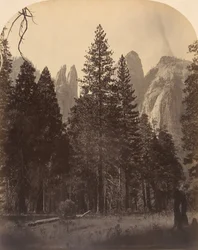 Tours de la cathédrale, 1861