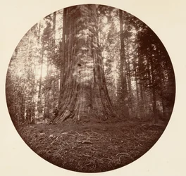 Empire State. C. Grove, vers 1878