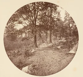 Dans la vallée de Yosemite, vers 1878.