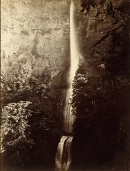 Cascade de Multnomah, rivière Columbia, 1867