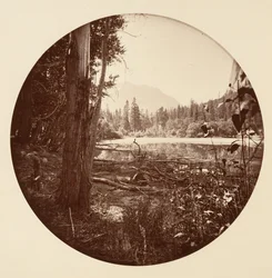 [Parc national de Yosemite, Californie], vers 1878.