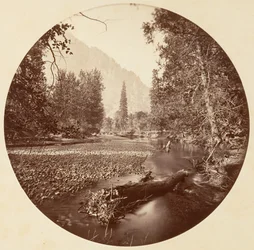 [Parc national de Yosemite, Californie], vers 1878