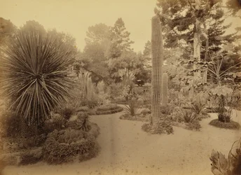 [Monterey, Californie, Arizona Garden, Hotel Del Monte].