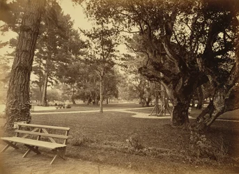 [Monterey, Californie, Hôtel Del Monte, Lawn View].