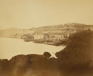 [Filature de laine, San Francisco]