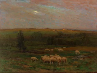 Soir après une averse