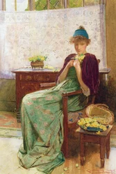 Primevères