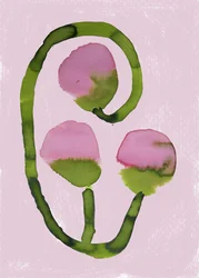 Fleurs roses abstraites