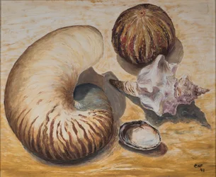 Coquillages, 1993