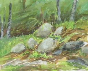 Les roches de Green Forest