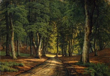 Paysage boisé avec des cerfs