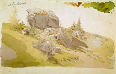 Prairie avec rochers dans les Monts des Géants