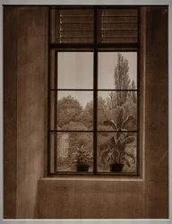 Fenêtre avec vue sur un parc