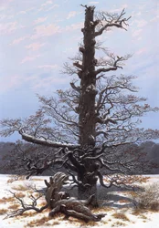 Paysage d