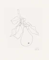 Dessin délicat d