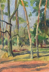 Sentier forestier ensoleillé