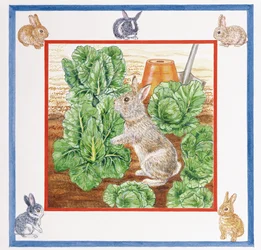 Un Lapin dans le Champ de Choux