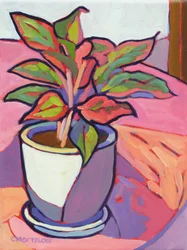 Plante de cabane, 2024