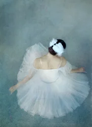 Élégante ballerine « Swan »