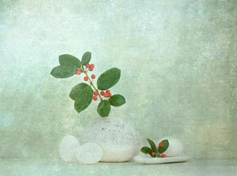 Pierre naturelle aux baies Zen