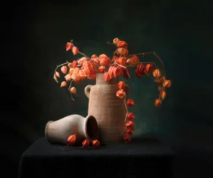 Nature morte aux lanternes chinoises rustiques