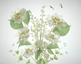 Bouquet « White Lily Valley »