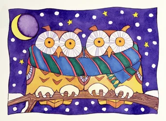 Chouettes la nuit