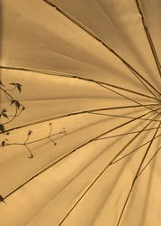 Composition - Lights, 2020 (photo)