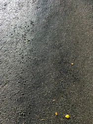 Composition - Texture, 2020 (photo)