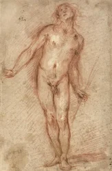 Nu masculin debout, 1637-38