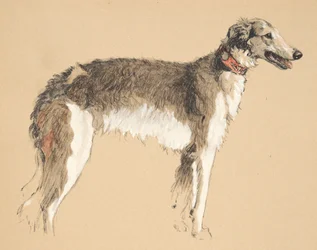 Borzoi, 1930, Illustrations de son carnet de croquis utilisé pour Just Among Friends, publié plus tard par Eyre et Spottiswoode Limited, 1934