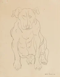 Le bouledogue de Nancy Morris