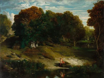 Dans la forêt