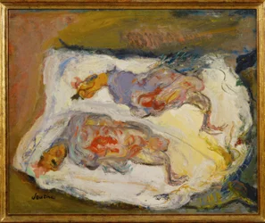 Deux poulets sur un tissu blanc