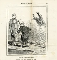 Illustration de Cham (1819-1879) dans Le Charivari
