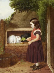 Nourrir les lapins