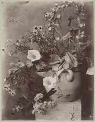Étude de fleurs avec pot de Cologne sur un coffre