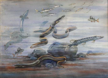 Poissons de mer, c.1907