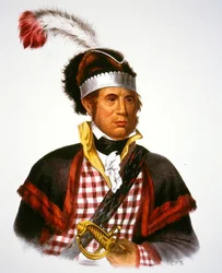 Chef McIntosh, illustration de 
