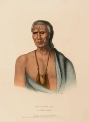 LAP-PA-WIN-SOE. A DELAWARE CHIEF, extrait de History of the Indian Tribes of North America (Histoire des tribus indiennes d