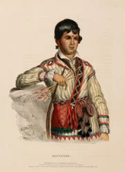 MISTIPPEE, extrait de l