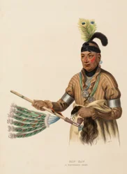 NAW-KAW. A WINNEBAGO CHIEF, extrait de History of the Indian Tribes of North America (Histoire des tribus indiennes d