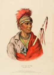 NOT-CHI-MI-NE. AN IOWAY CHIEF, extrait de History of the Indian Tribes of North America (Histoire des tribus indiennes d