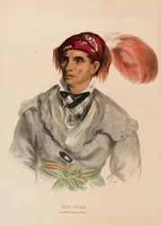 Tah-Chee (Dutch), chef cherokee, extrait de History of the Indian Tribes of North America (Histoire des tribus indiennes d