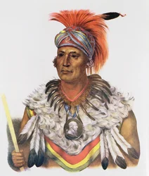 Wapella ou le Prince Chef des Renards, 1837, illustration de 