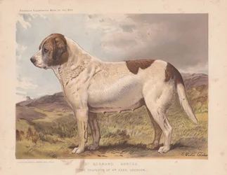 Saint Bernard "Abbesse"