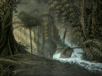 Forêt brésilienne
