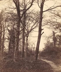 Hiver, 1855