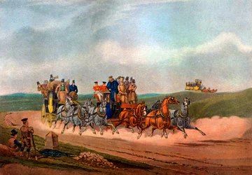 Les entraîneurs de l